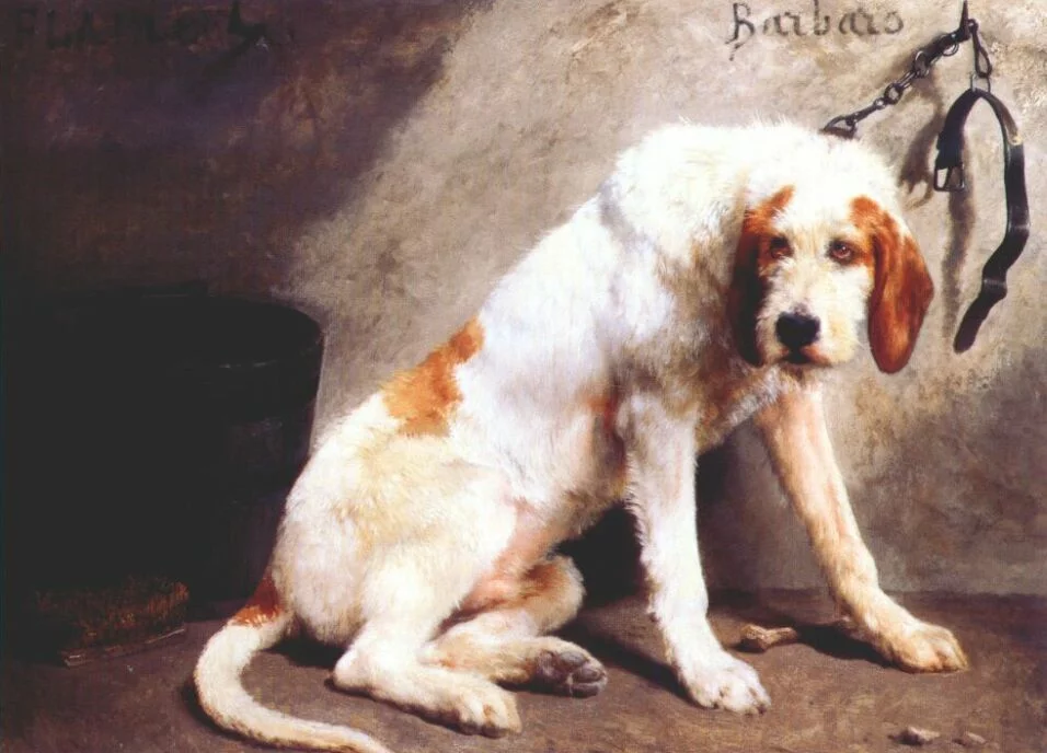 cdbhj9.webp