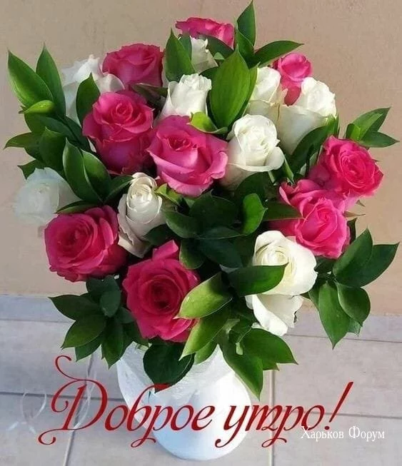 cdd6cd39f3056d7cbb8.webp