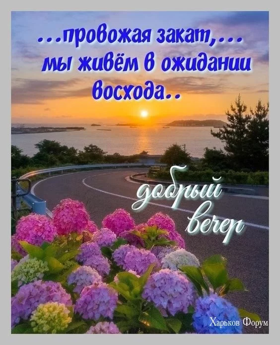 cdd856f81c989363df.webp