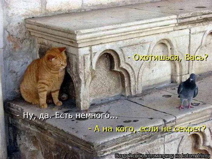 cddbe9.webp