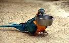 cde29847bb41ed72f800.webp