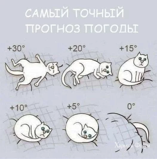 cde484a5cb63f27d5da.webp