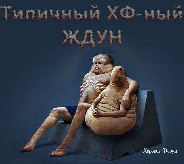 cdf840d509891d721cfe.webp