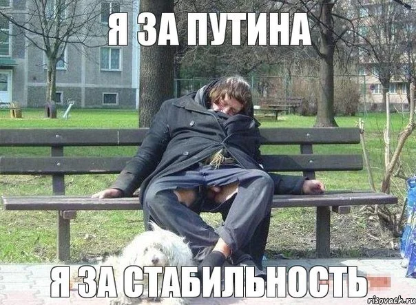 cdfg3f.webp