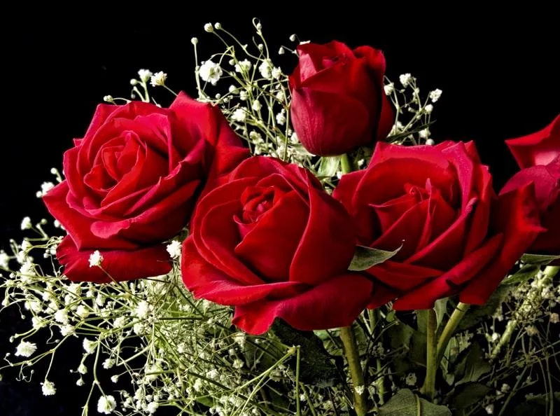 cdg0fb.webp