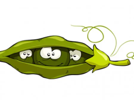 cdhhb3.webp
