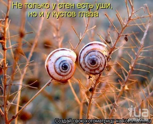 cdjf7b.webp