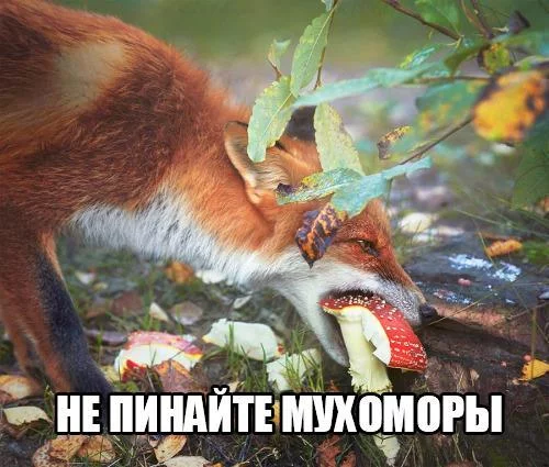 cDTS3SjhwKQ.webp