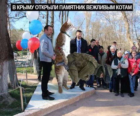 CdxUQkDWEAAo6nl.webp