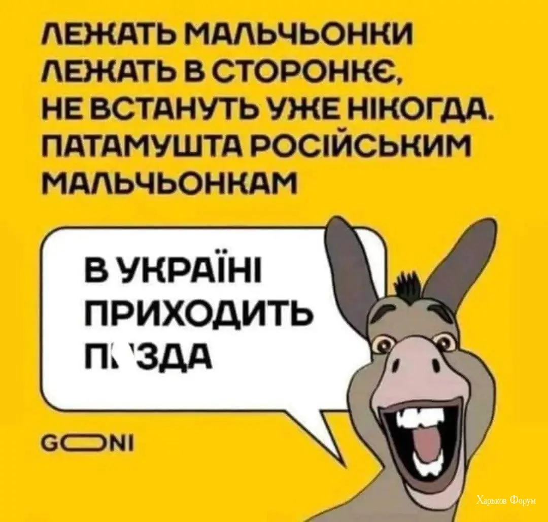 ce02ffc0d0ee4f5f1d7814e.webp