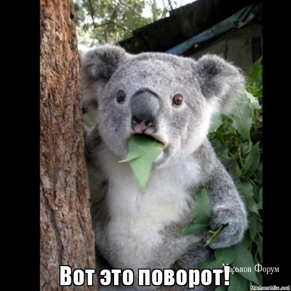 ce05d5a9507ae670babee.webp