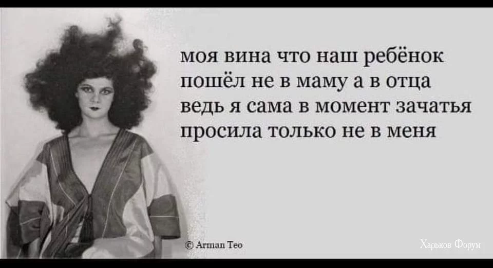 ce0cd95a471acf3e1ea215.webp