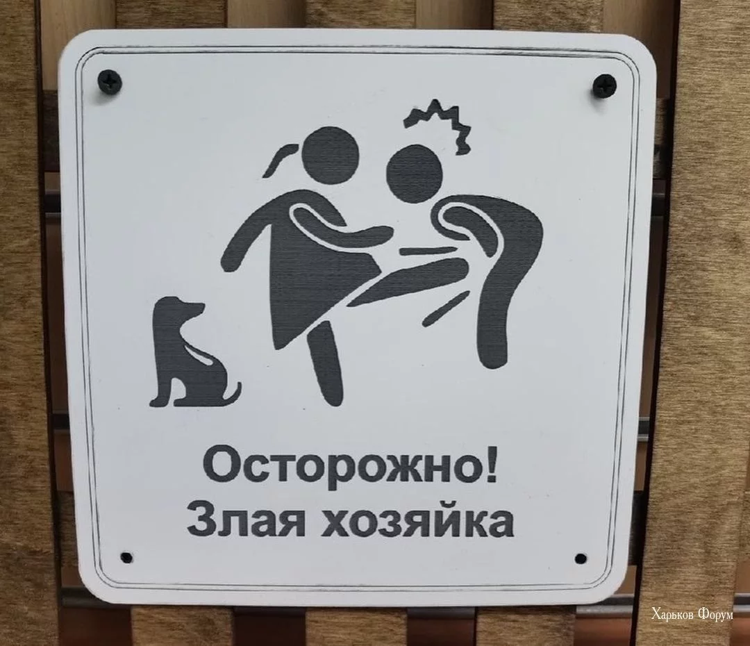 ce1a92b9e5ecb87ca.webp