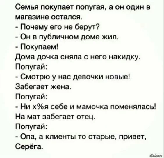 ce1afg.webp
