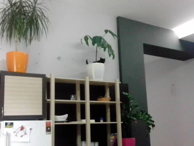 ce1bbh.webp
