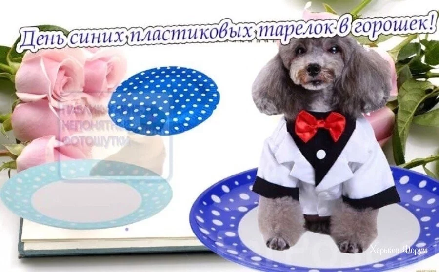 ce1dff8a5513773b0c71afd.webp
