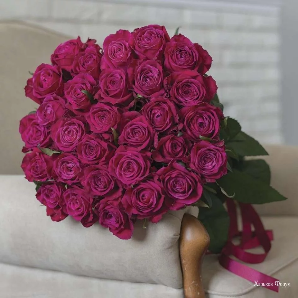 ce338cc25822136b136.webp