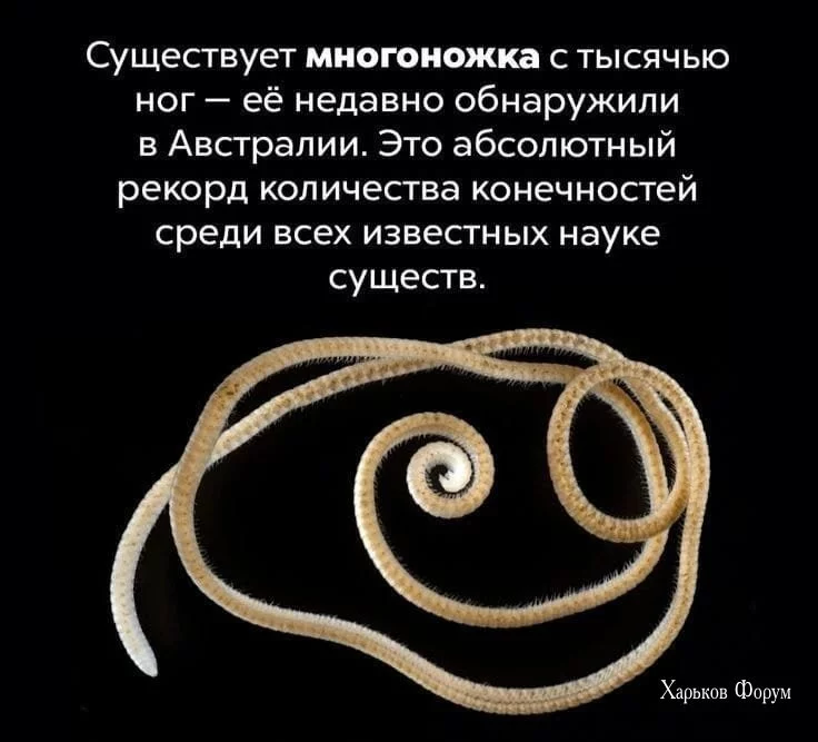 ce3506fa2d74aeb883.webp