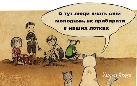 ce3a4757cbc8fa9462fefe80.webp
