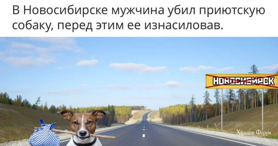 ce4ce75ece0a1f2adb4e9309.webp