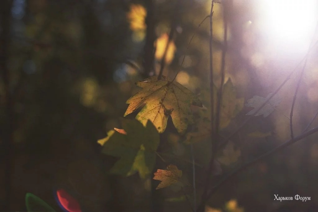 ce673e620c39d9bab6c7.webp