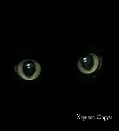 ce7673dd470a5d89f13.webp