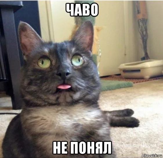 ce8b96b4ddd72f5bbadceb7.webp