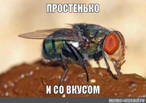 ce8ceg.jpg