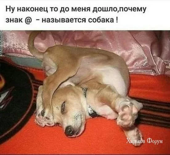 ce9277e116b3f90dbe34f16.webp