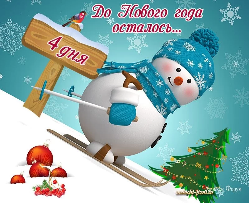 ce9e9d179e50dfc7.webp