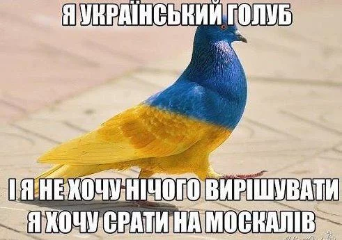 CE_Sn76VIAA7xeK.webp