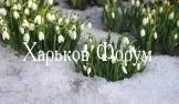 cea009541d639b99acd.webp