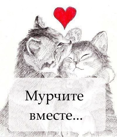 cebdf5.webp
