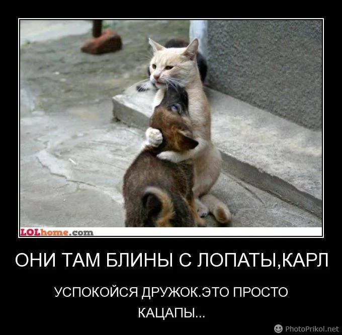 cebdf7.webp