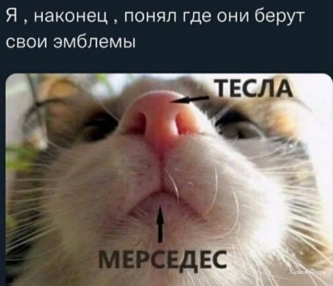 cec50c45d644ba83.webp
