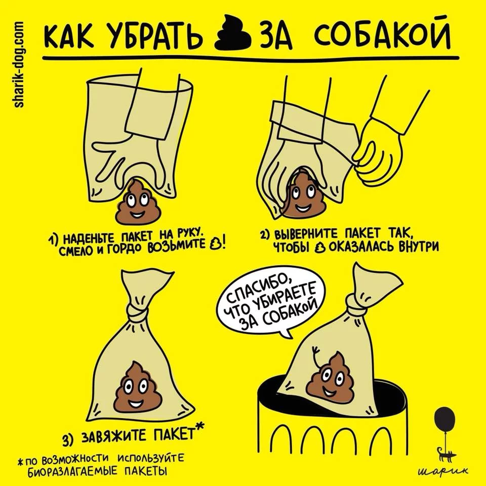 cecgd4.webp