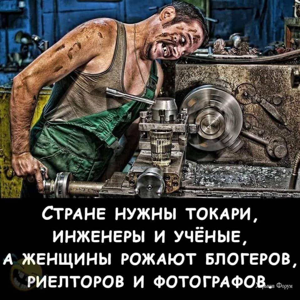 ced5b0fe8bc48202449.jpg