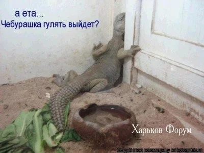 cee716cf1895a89f1a0859.webp