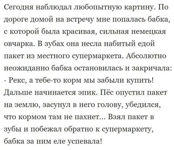 ceeb1g.webp