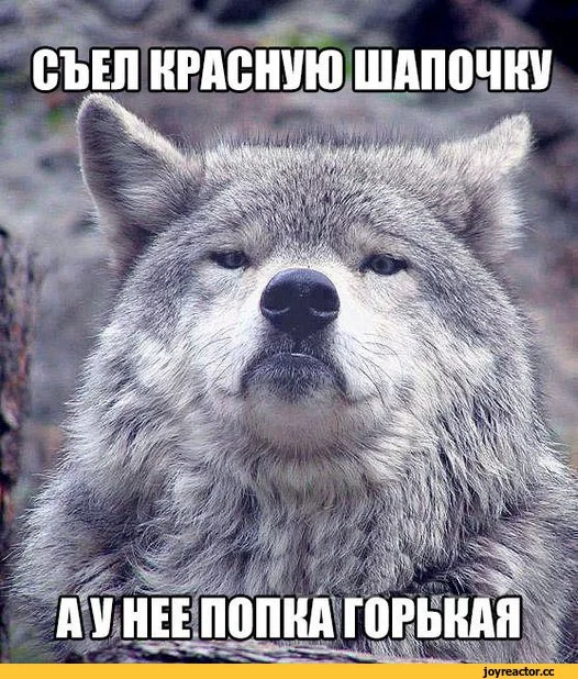 ceedh2.webp