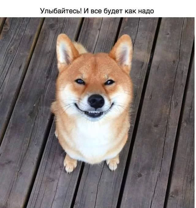 cege8h.webp