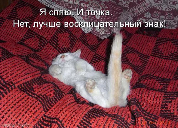 CegR4_sXEAQnRbF.webp