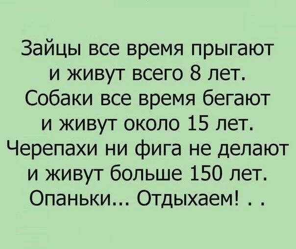 ceh5hg.webp