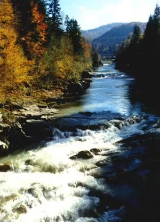 cehd5h.webp