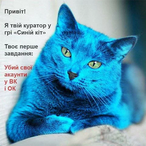 cejj6c.webp