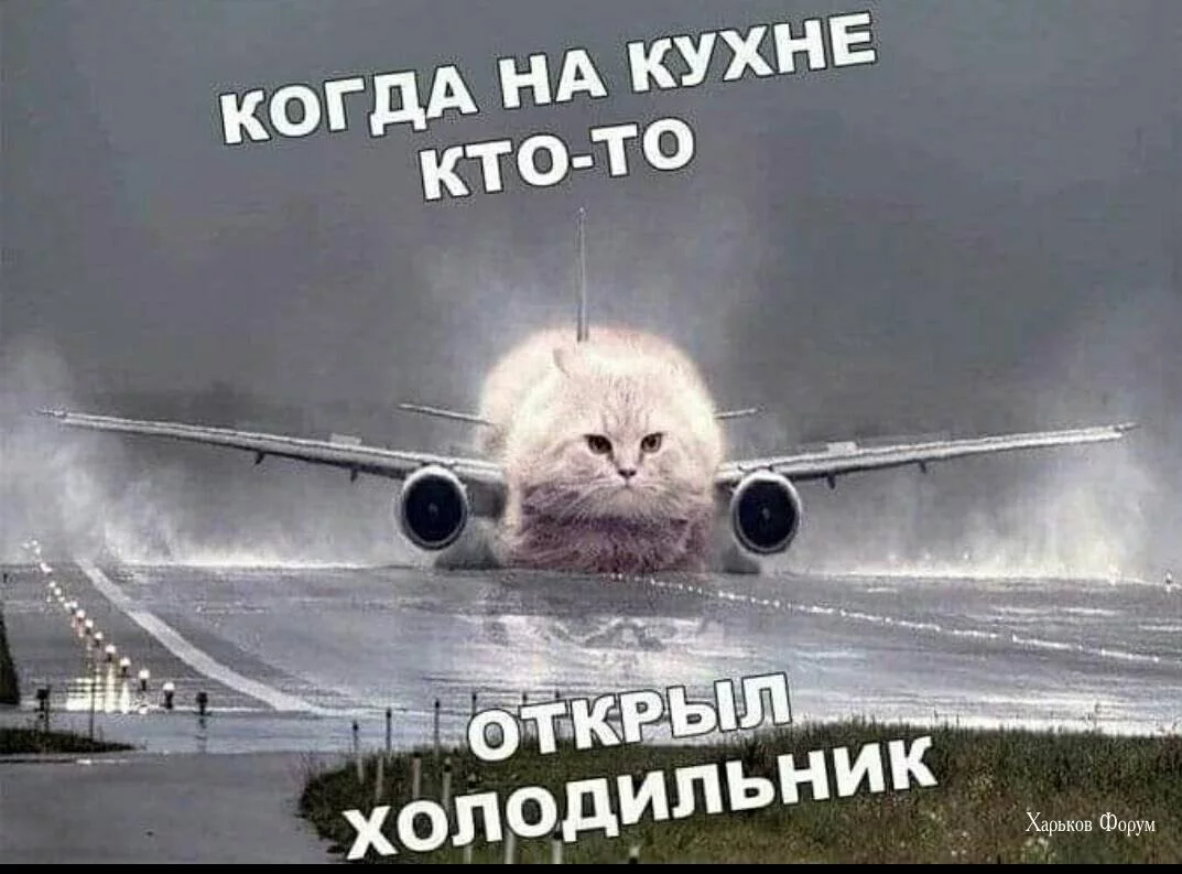 cf0a037770ced435.webp