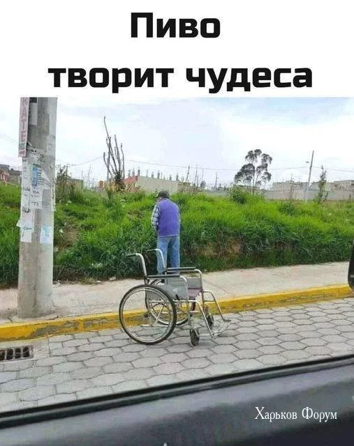 cf10ae929cbefd7a78e9b182.webp