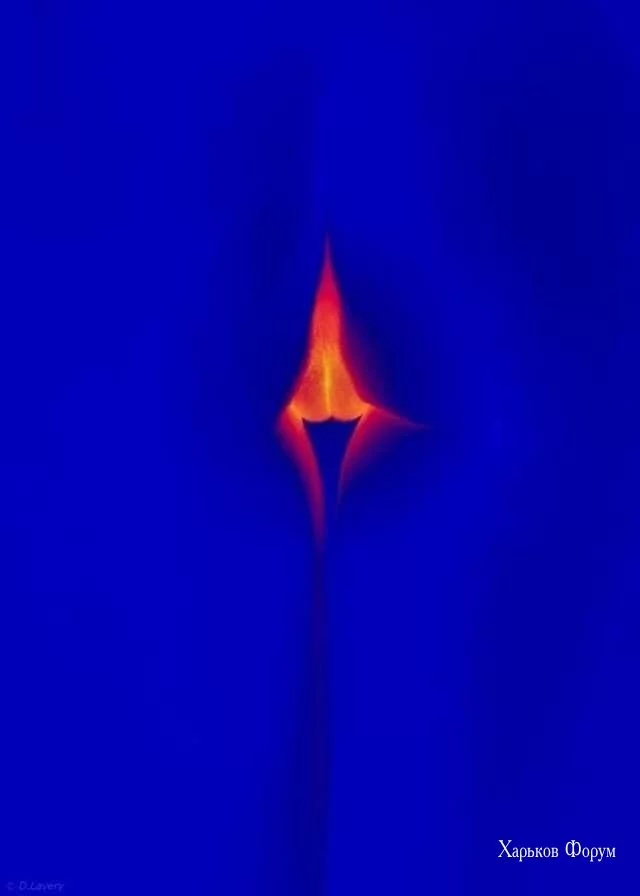 cf11dab4a7d9f9c9557.webp