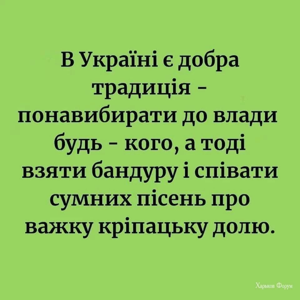 cf17296e4f4604651a65a58.webp