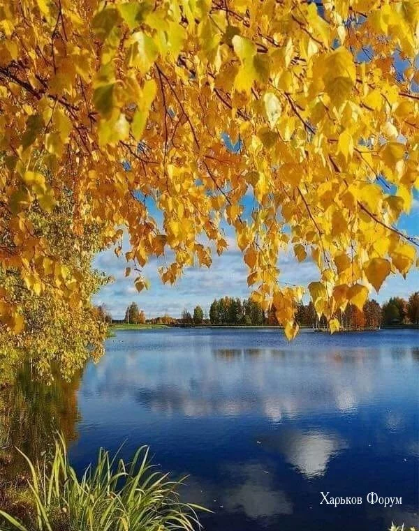 cf1c95f124de49fa2178805.webp